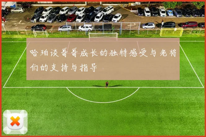哈珀谈哥哥成长的独特感受与老将们的支持与指导