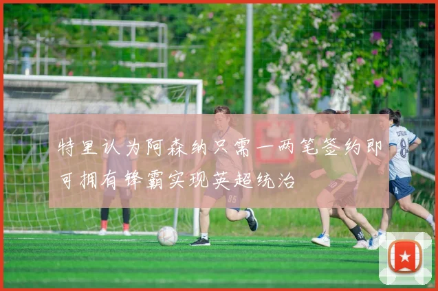 特里认为阿森纳只需一两笔签约即可拥有锋霸实现英超统治