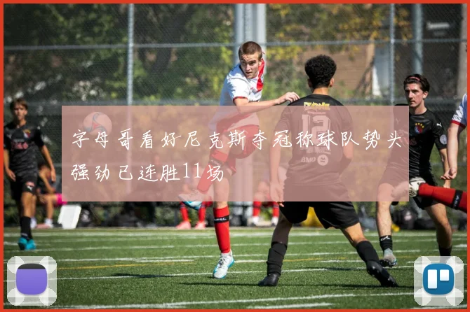 字母哥看好尼克斯夺冠称球队势头强劲已连胜11场